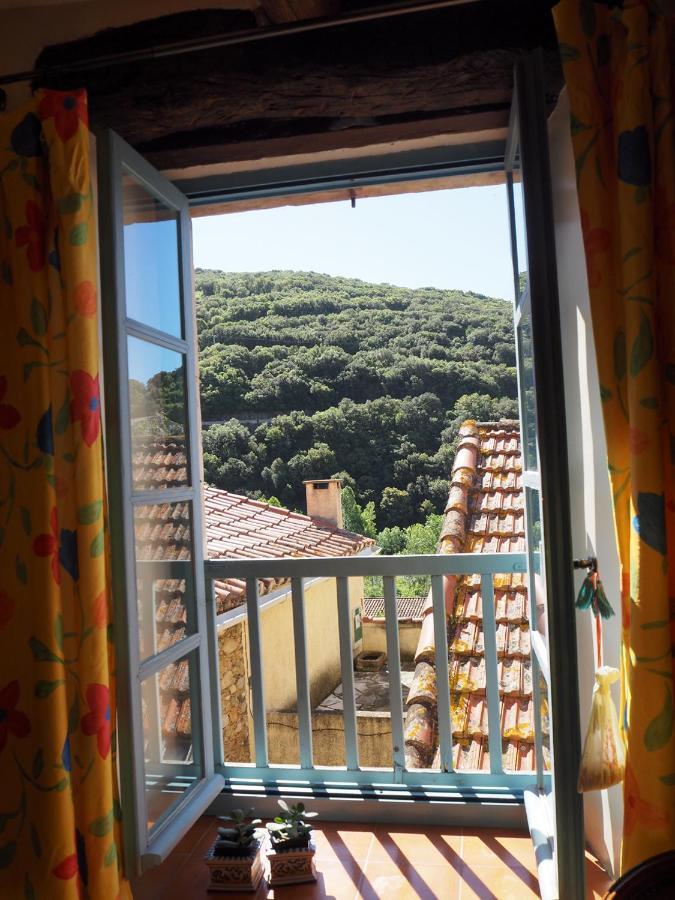 Chambre D'Hotes Le Rougeyras Roquebrun Dış mekan fotoğraf