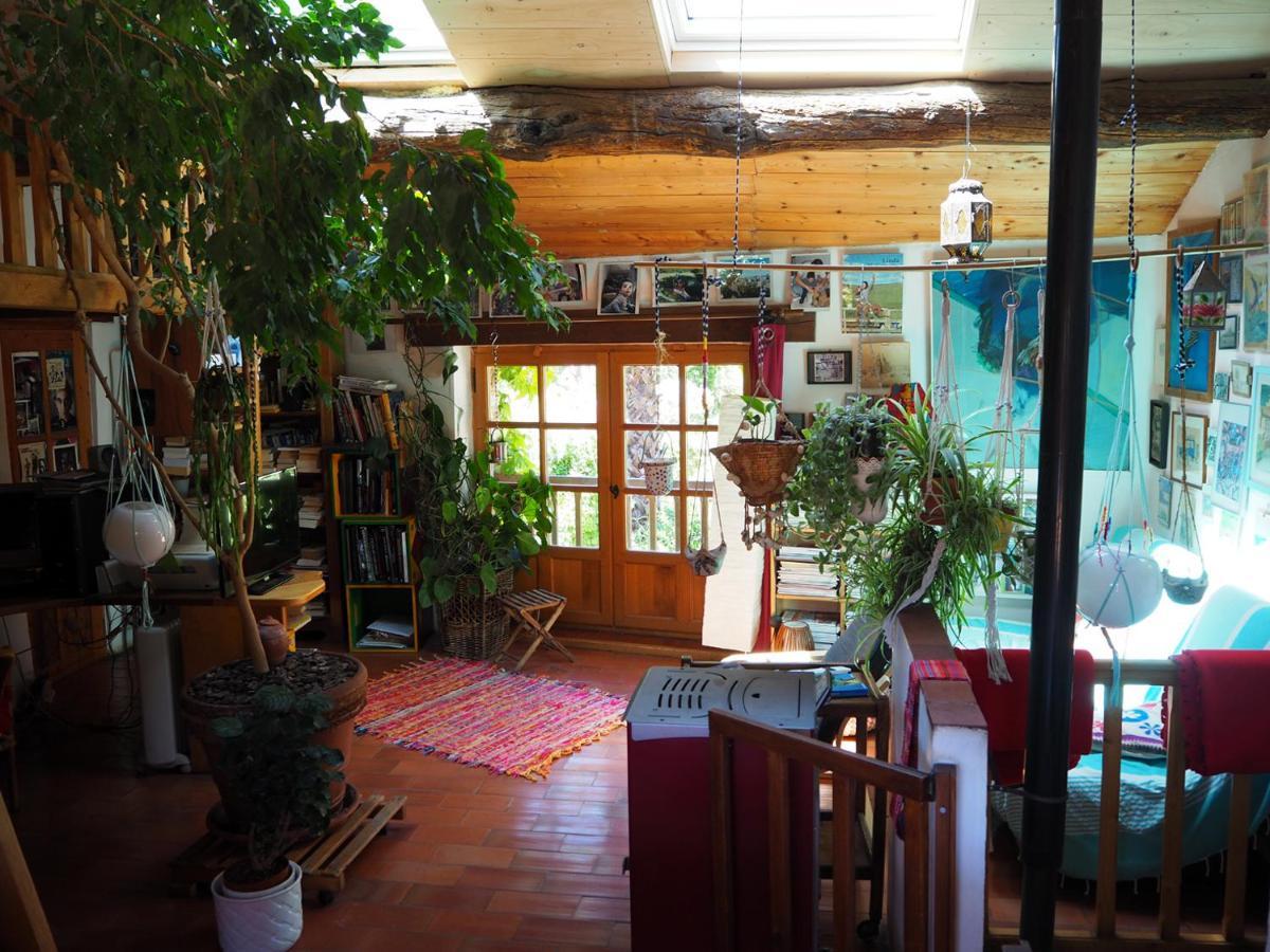Chambre D'Hotes Le Rougeyras Roquebrun Dış mekan fotoğraf